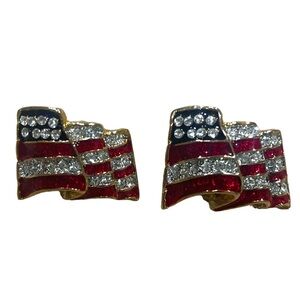 Patriotic Earrings